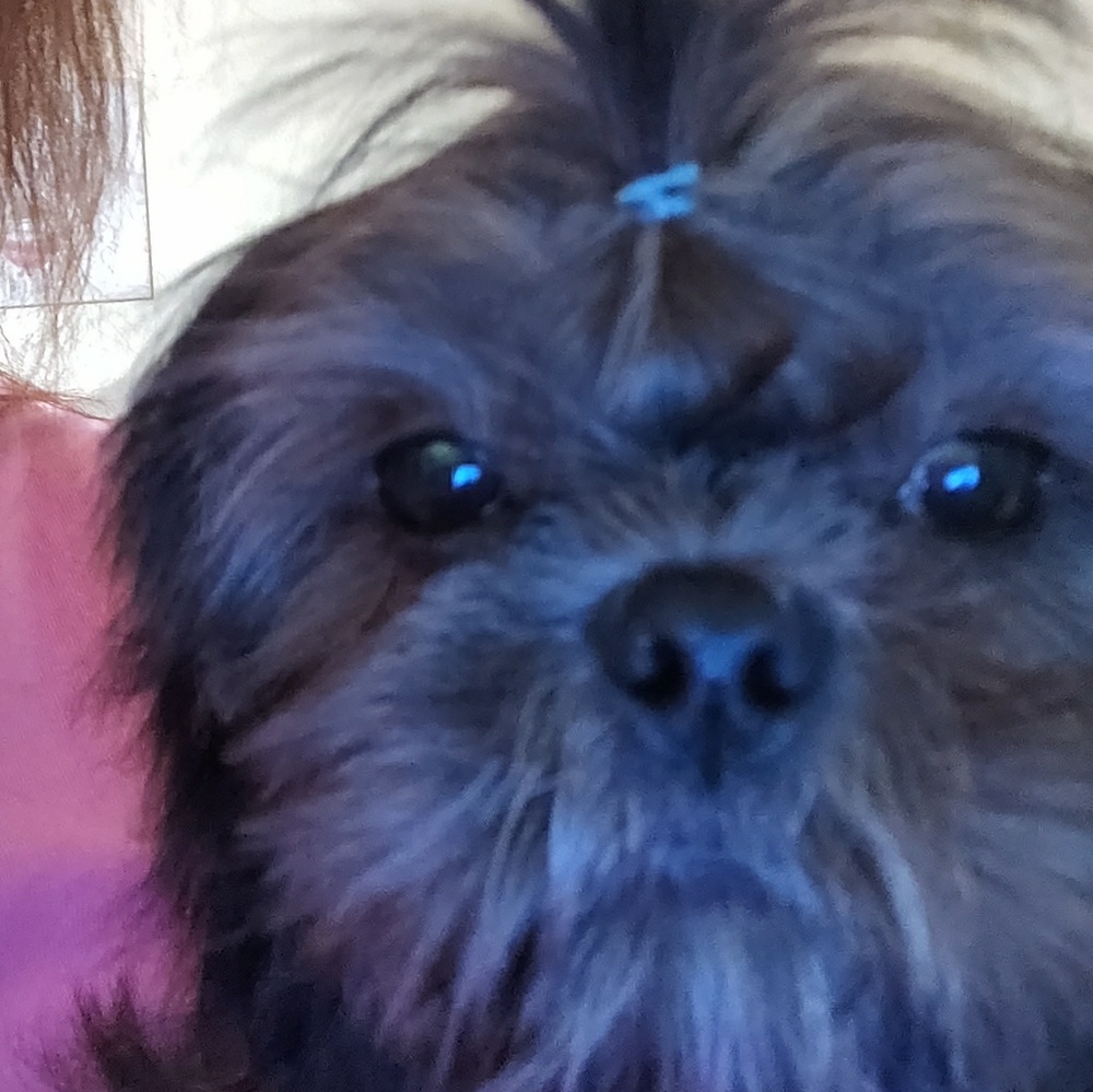 Meet your Posher, Marie